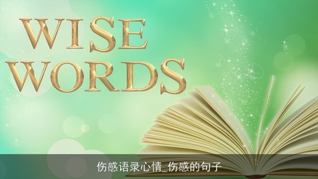 伤感语录心情_伤感的句子