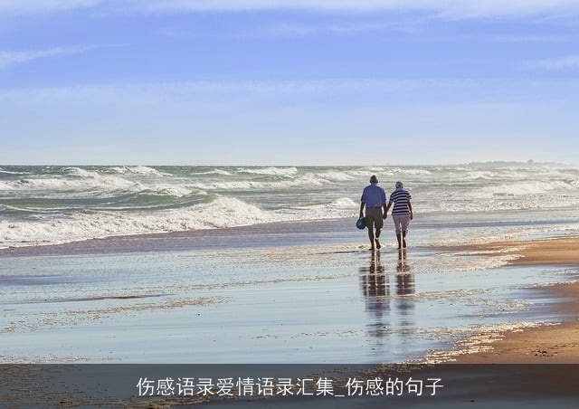 伤感语录爱情语录汇集_伤感的句子