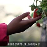 伤感语录痛到心里_伤感的句子