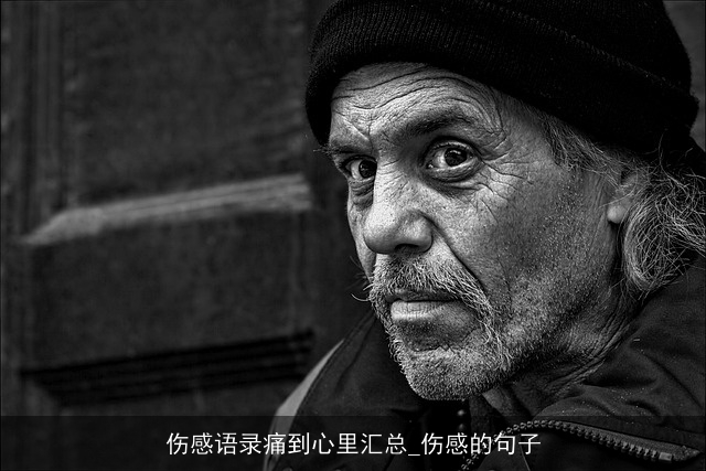 伤感语录痛到心里汇总_伤感的句子