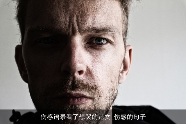 伤感语录看了想哭的范文_伤感的句子