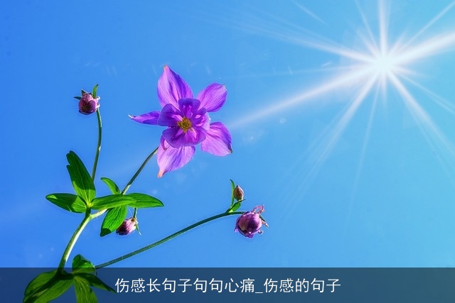 伤感长句子句句心痛_伤感的句子