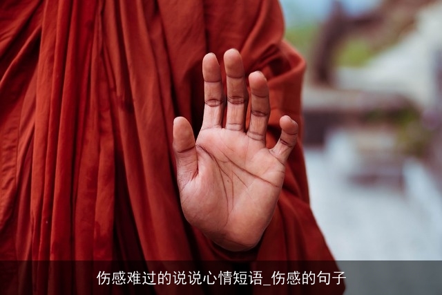 伤感难过的说说心情短语_伤感的句子