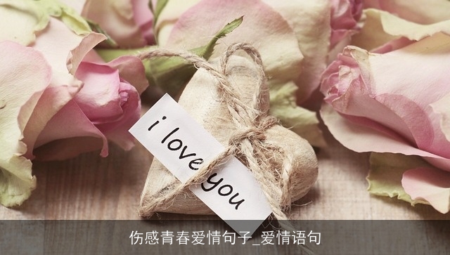 伤感青春爱情句子_爱情语句