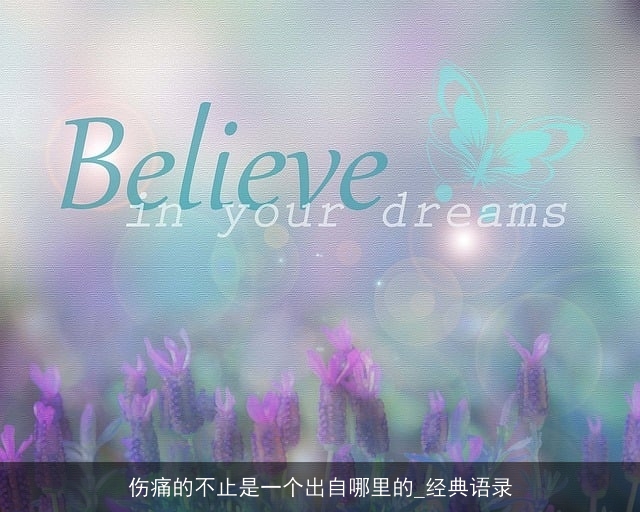 伤痛的不止是一个出自哪里的_经典语录