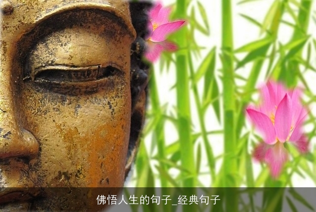 佛悟人生的句子_经典句子