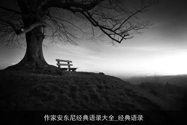 作家安东尼经典语录大全_经典语录