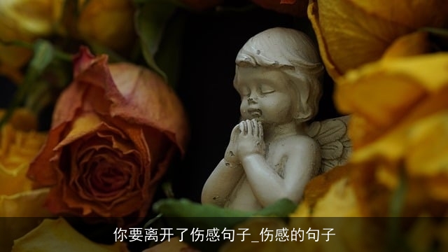 你要离开了伤感句子_伤感的句子