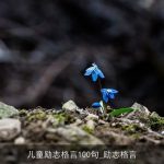 儿童励志格言100句_励志格言