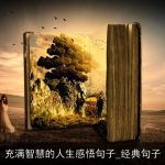 充满智慧的人生感悟句子_经典句子