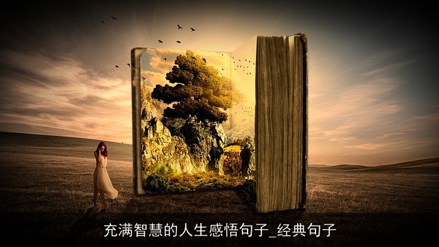 充满智慧的人生感悟句子_经典句子