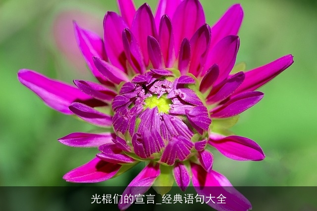 光棍们的宣言_经典语句大全