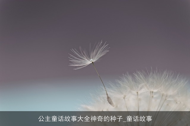 公主童话故事大全神奇的种子_童话故事