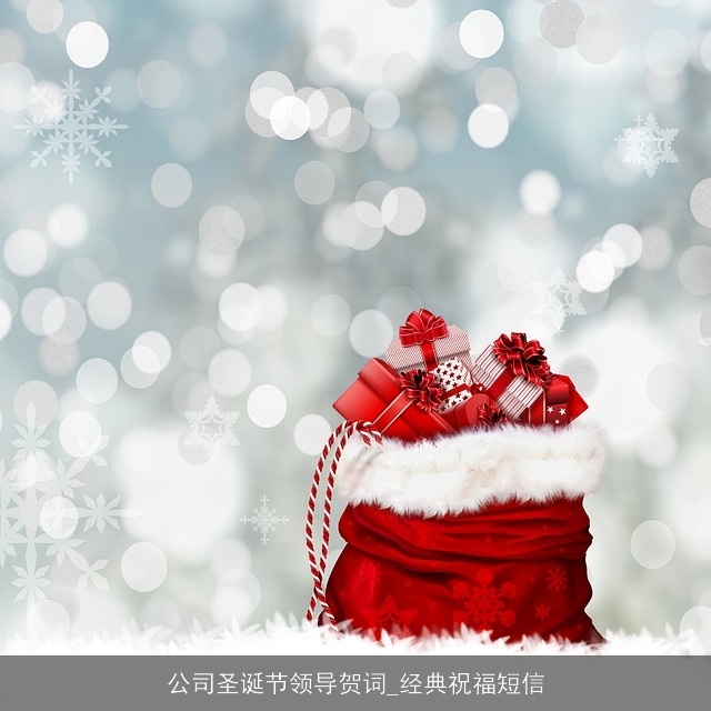 公司圣诞节领导贺词_经典祝福短信