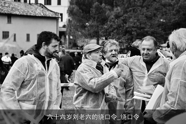 六十六岁刘老六的绕口令_绕口令