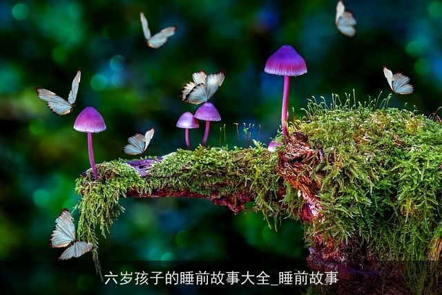 六岁孩子的睡前故事大全_睡前故事