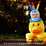 关于2025年生日祝福语短信_生日祝福短信