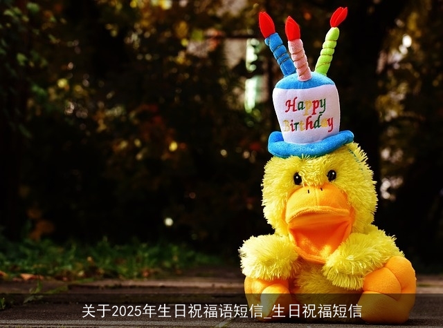 关于2025年生日祝福语短信_生日祝福短信