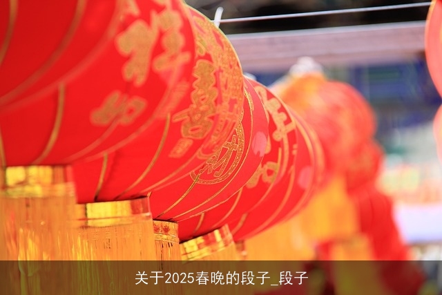 关于2025春晚的段子_段子