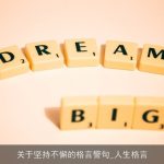 关于坚持不懈的格言警句_人生格言