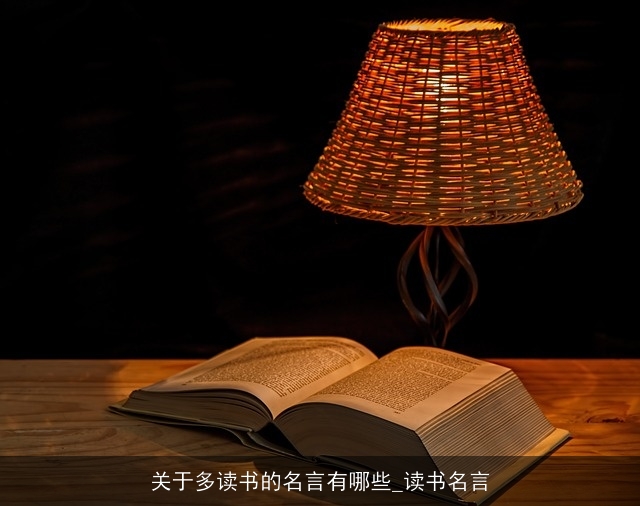 关于多读书的名言有哪些_读书名言
