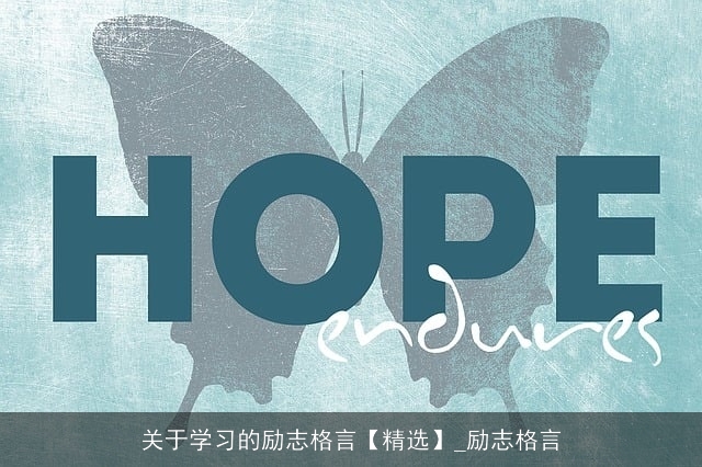 关于学习的励志格言【精选】_励志格言