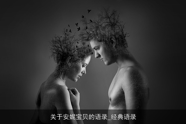 关于安妮宝贝的语录_经典语录