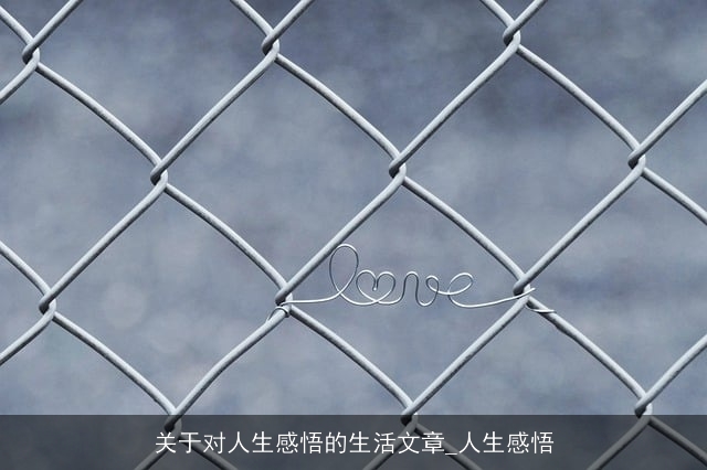 关于对人生感悟的生活文章_人生感悟