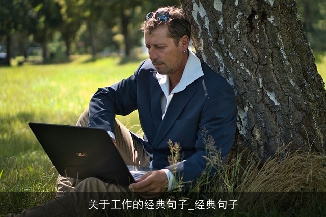 关于工作的经典句子_经典句子
