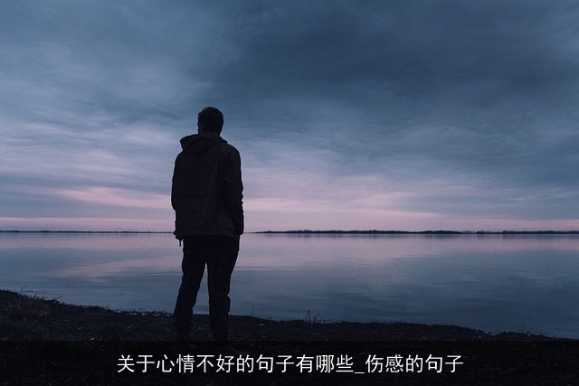 关于心情不好的句子有哪些_伤感的句子