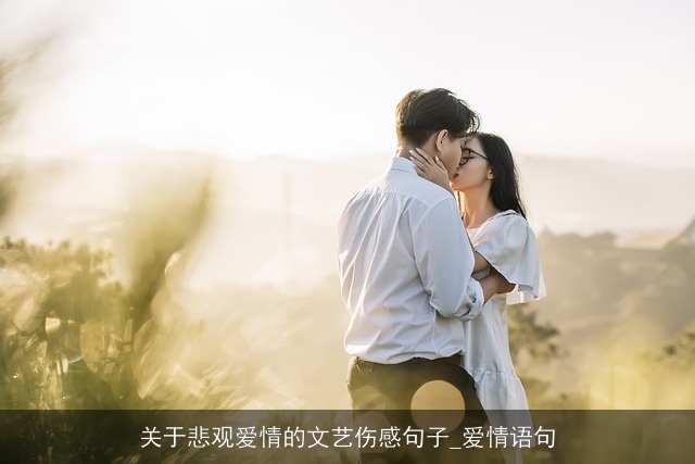 关于悲观爱情的文艺伤感句子_爱情语句