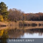 关于想念的句子_经典句子