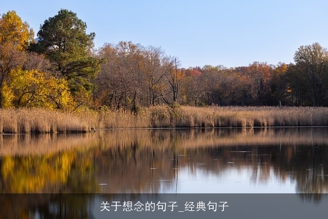 关于想念的句子_经典句子