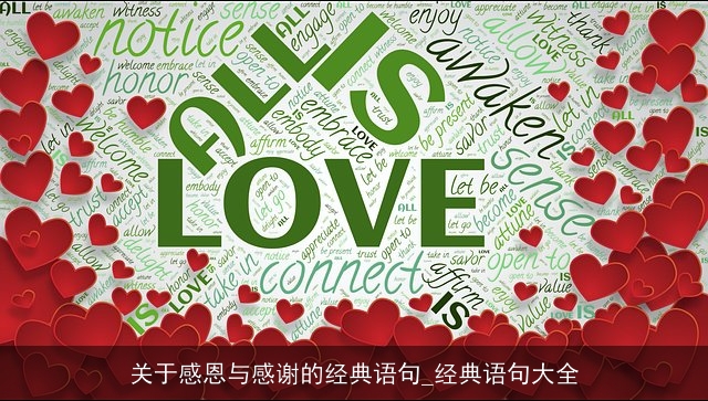 关于感恩与感谢的经典语句_经典语句大全