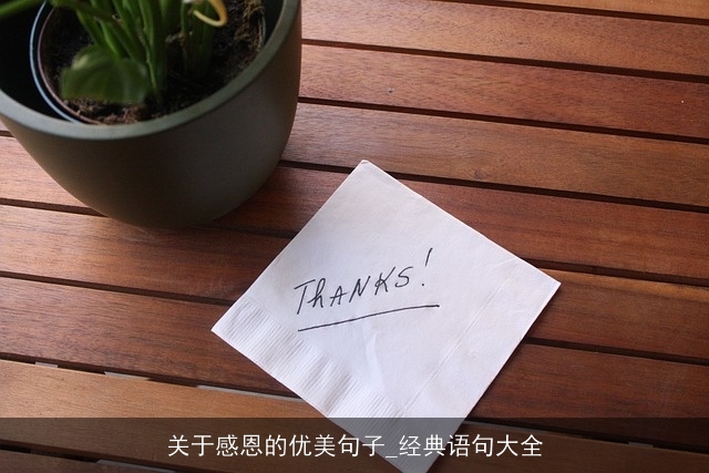 关于感恩的优美句子_经典语句大全