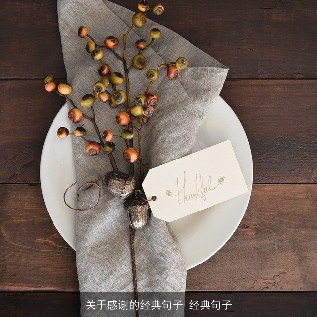 关于感谢的经典句子_经典句子