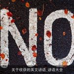 关于收获的英文谚语_谚语大全