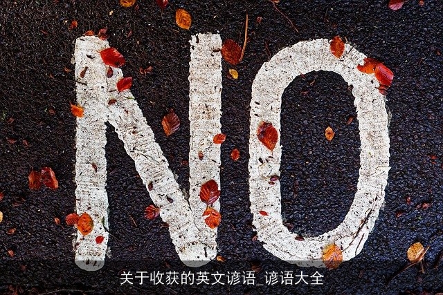 关于收获的英文谚语_谚语大全