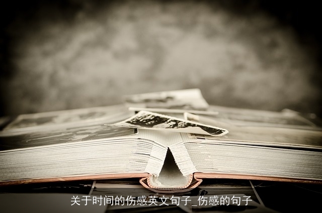关于时间的伤感英文句子_伤感的句子