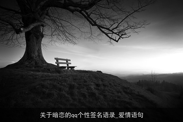 关于暗恋的qq个性签名语录_爱情语句