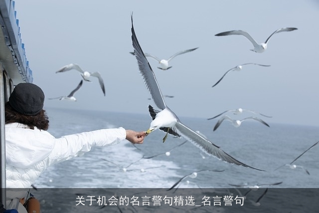 关于机会的名言警句精选_名言警句