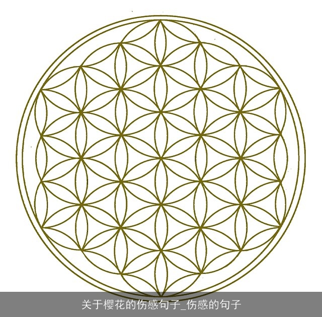 关于樱花的伤感句子_伤感的句子