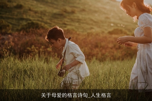 关于母爱的格言诗句_人生格言