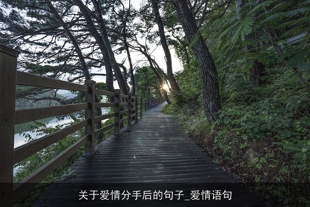 关于爱情分手后的句子_爱情语句