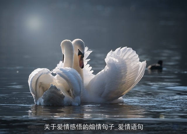 关于爱情感悟的煽情句子_爱情语句