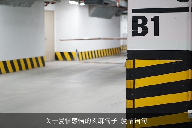 关于爱情感悟的肉麻句子_爱情语句