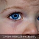 关于爱情的伤感名言句子_爱情语句