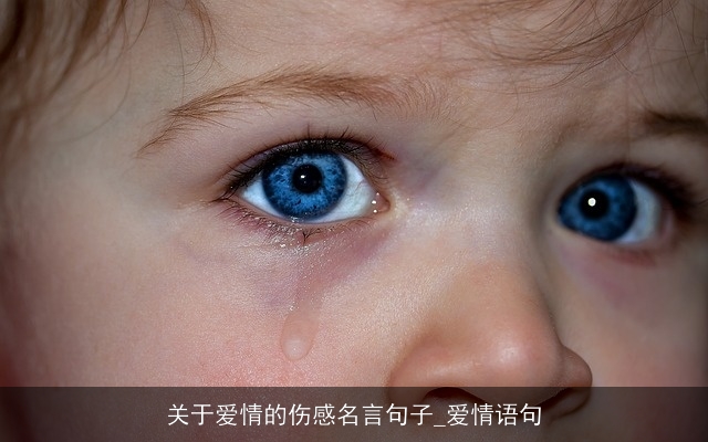 关于爱情的伤感名言句子_爱情语句