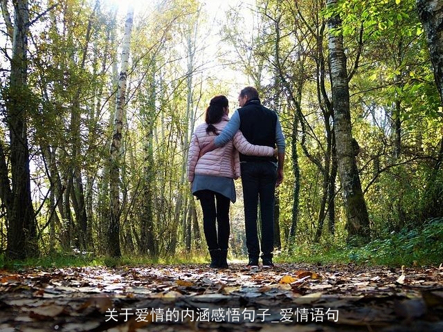 关于爱情的内涵感悟句子_爱情语句