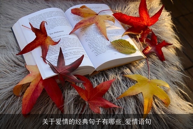 关于爱情的经典句子有哪些_爱情语句